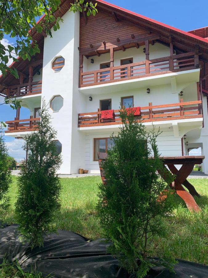 Poeme Hotel Sighetu Marmatiei Bagian luar foto