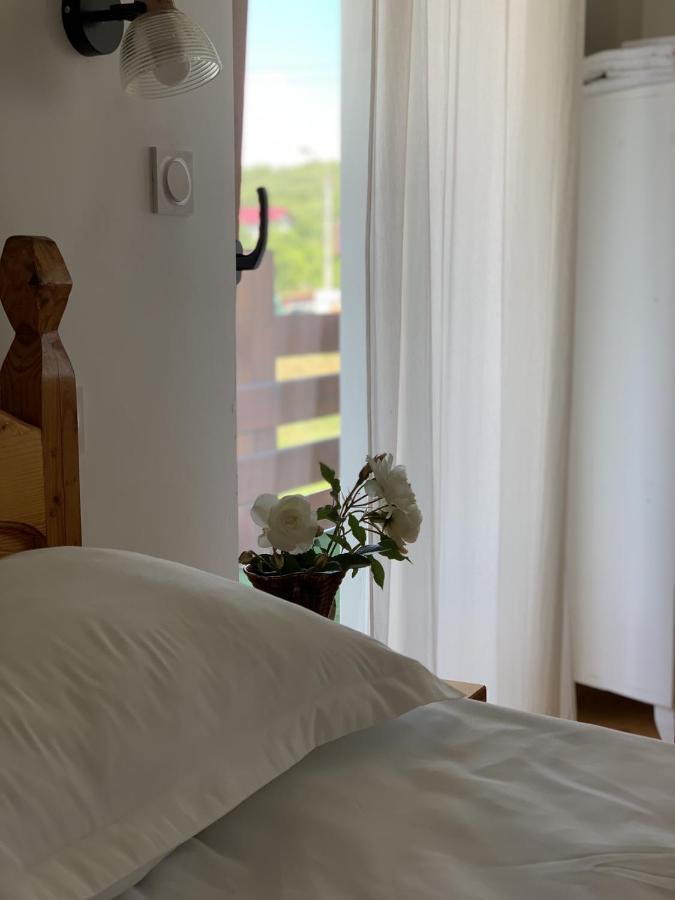 Poeme Hotel Sighetu Marmatiei Bagian luar foto